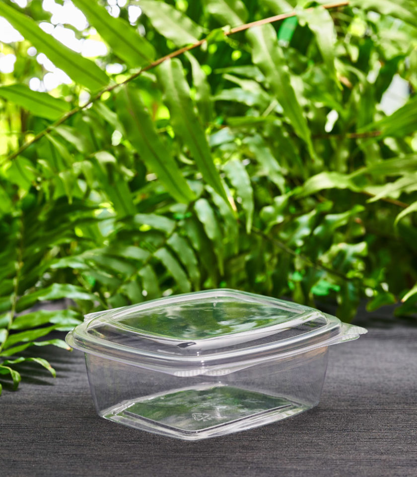 pudełko z ekologiczne bio plastiku PLA